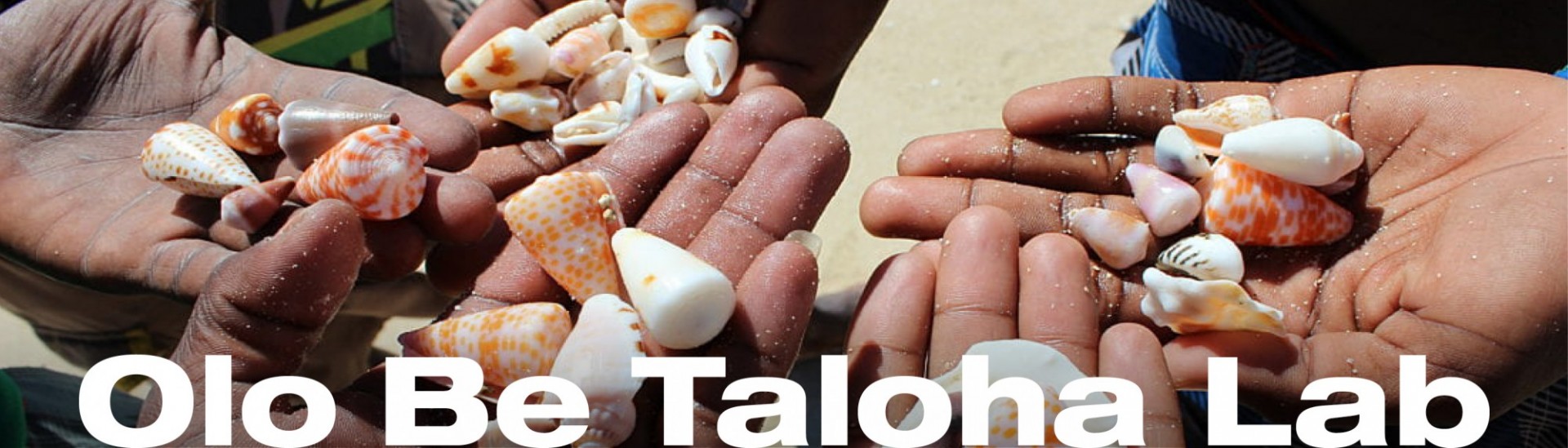 Olo Be Taloha Lab - hands with palms up holding assorted shells