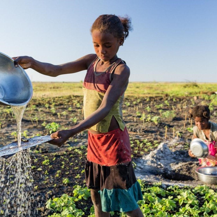 Community members washing dishes and processing produce near a lake in Mikea forest. Credit: Garth Cripps/MAP