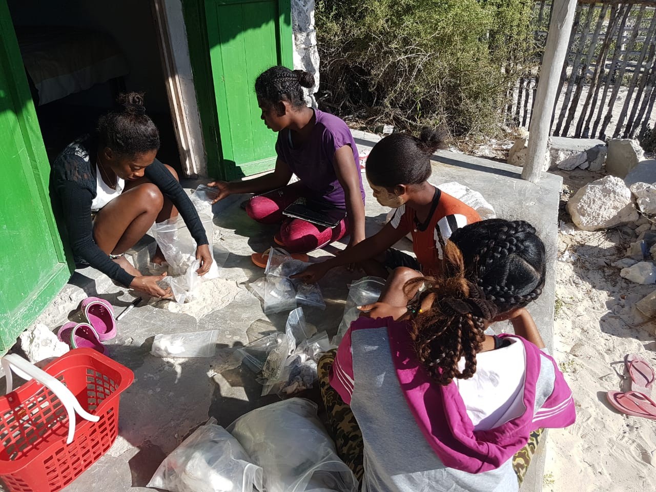 Sorting samples collected during survey work.