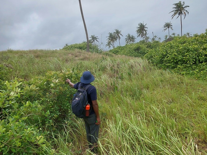 Abiola measuring a mound