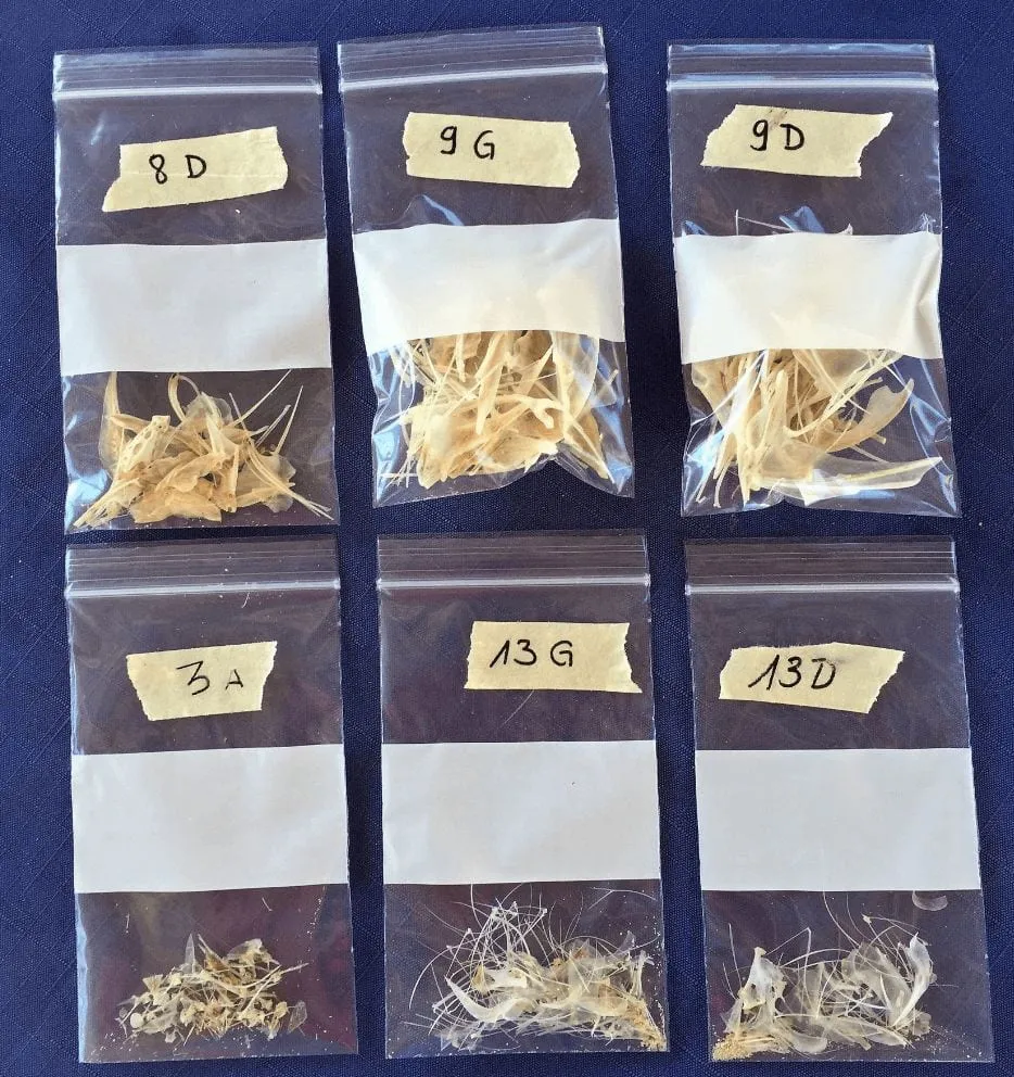 Building Comparative Faunal Collections for Human-Environment Research