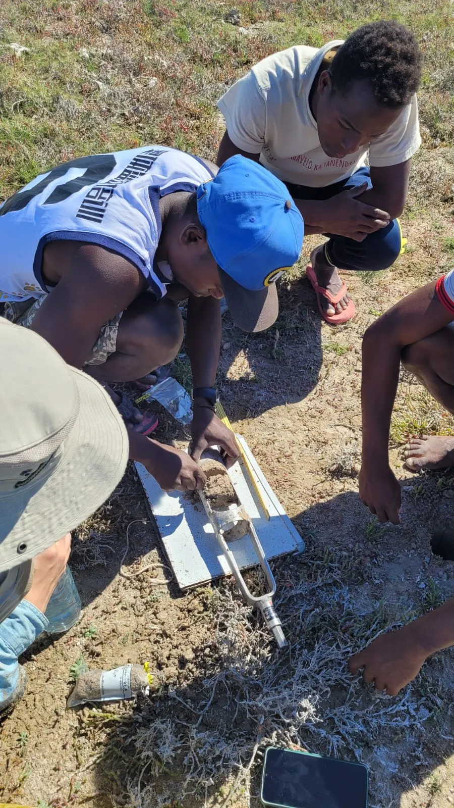 Sampling a soil core from freshwater pond used for animal grazing