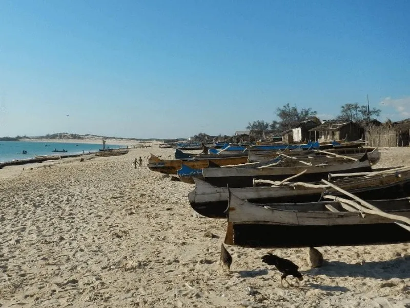 Women and Shellfishing in Southwestern Madagascar