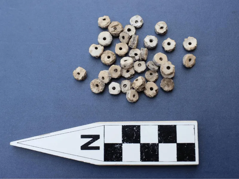 Investigating Shell Bead Production and Interaction