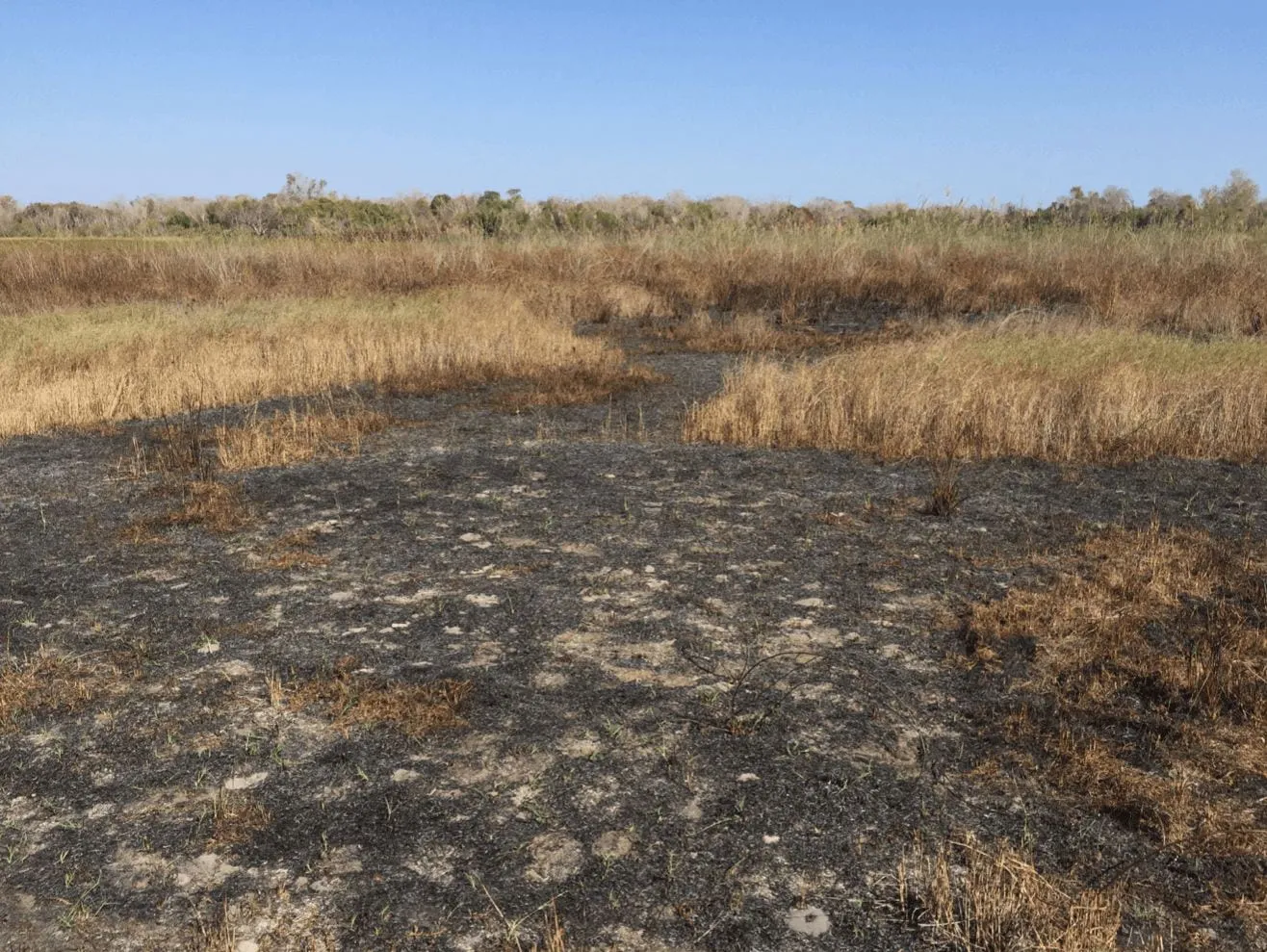 Reconstructing the Holocene Savannas of Madagascar