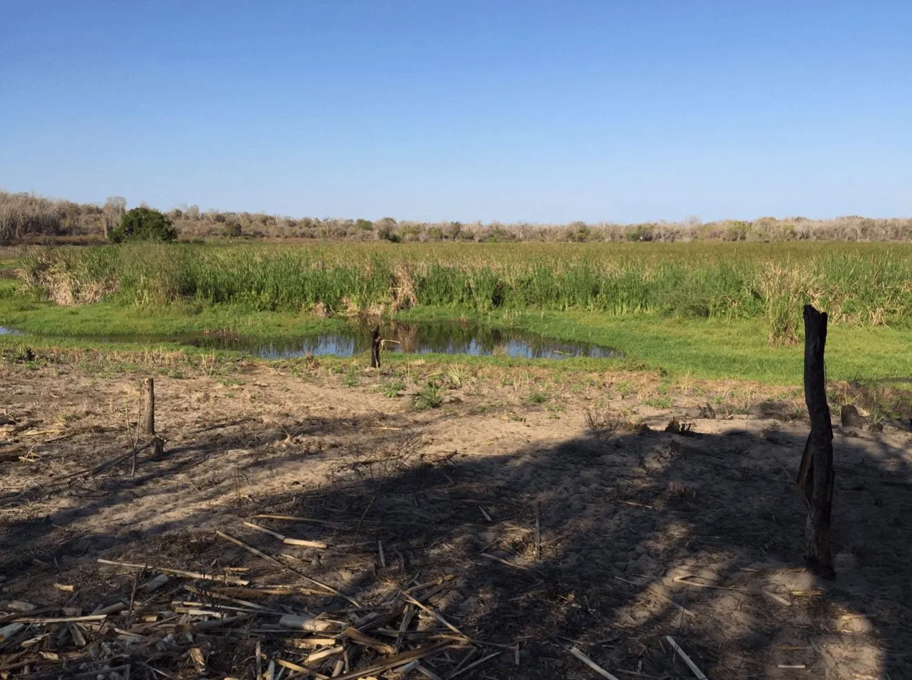 Reconstructing the Holocene Savannas of Madagascar