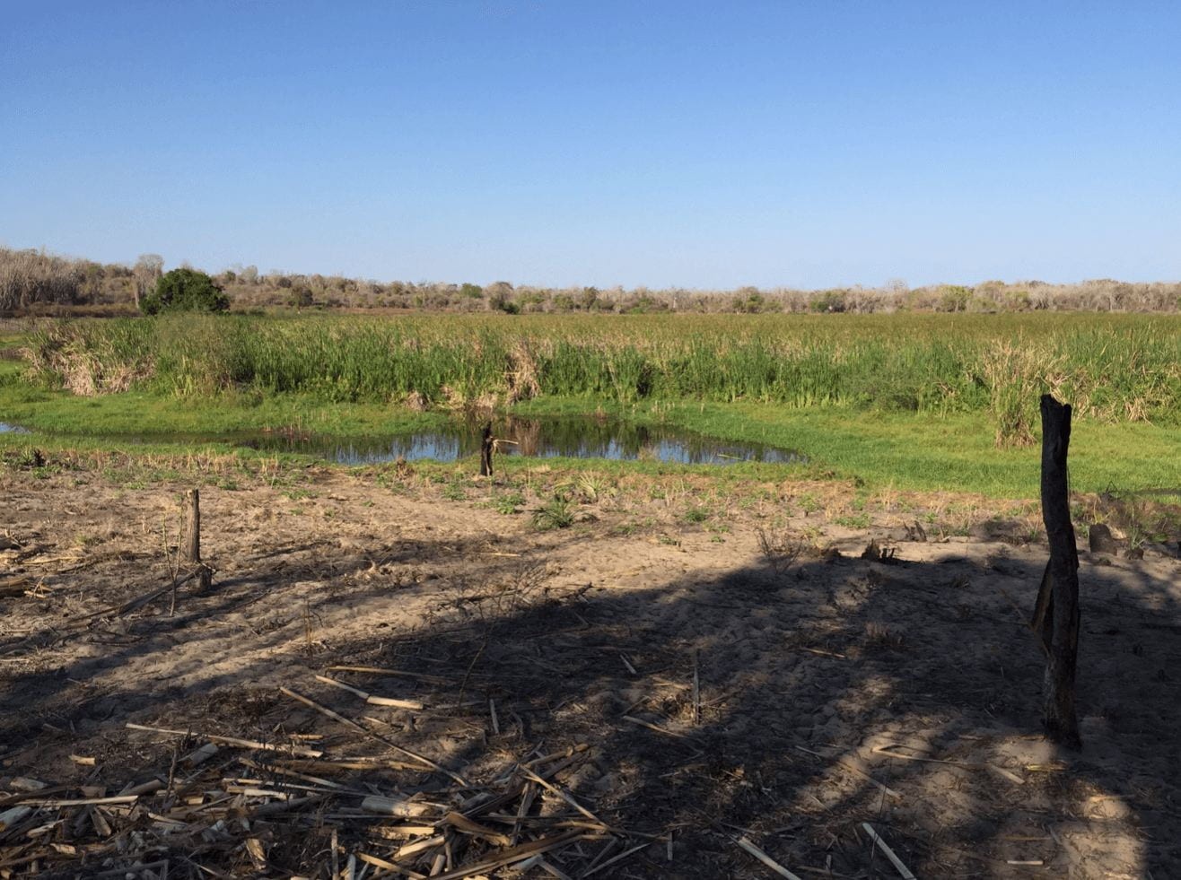 Reconstructing the Holocene Savannas of Madagascar