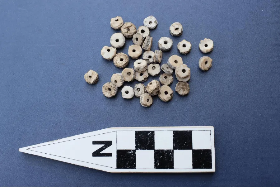 Investigating Shell Bead Production and Interaction