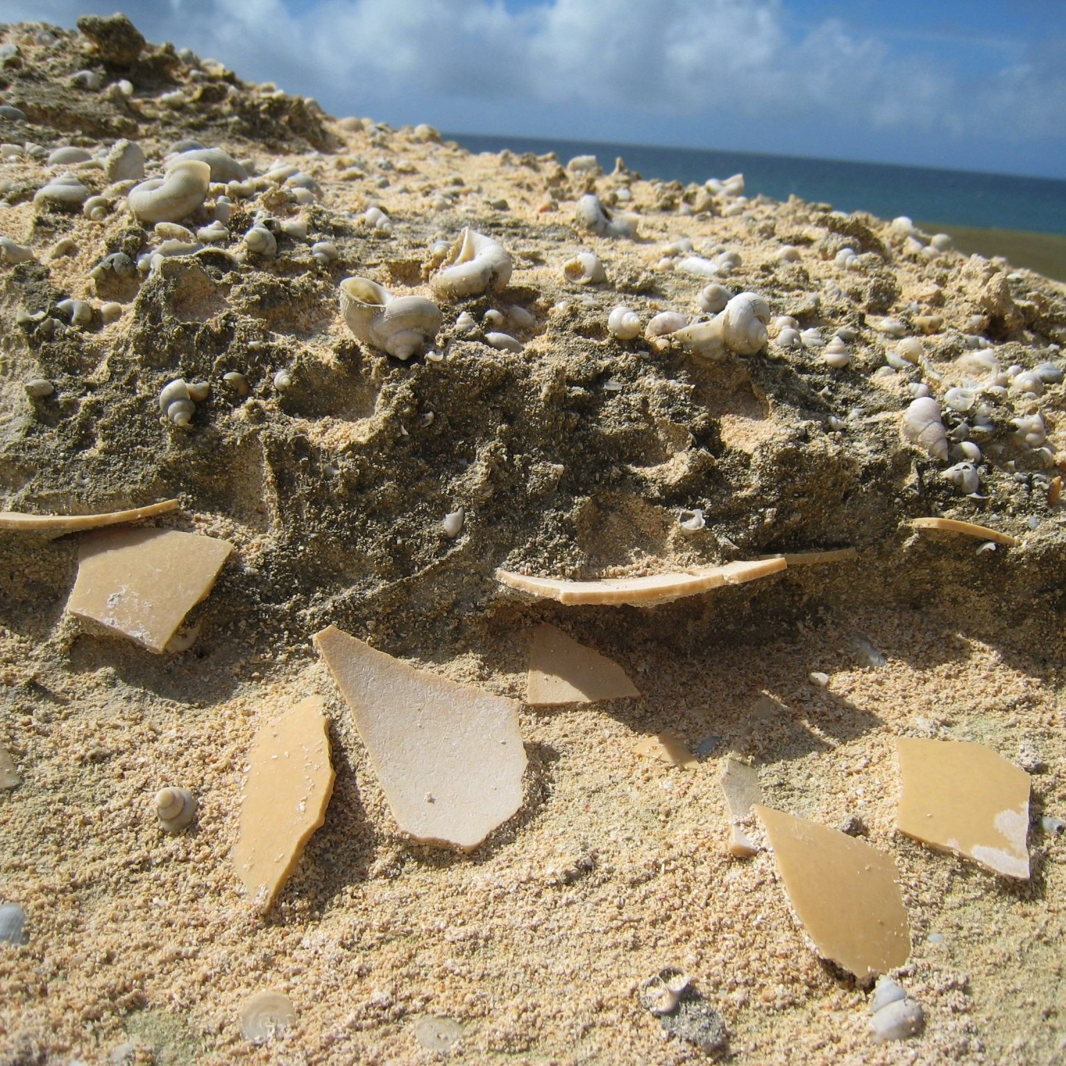 Elephant Bird Eggshells